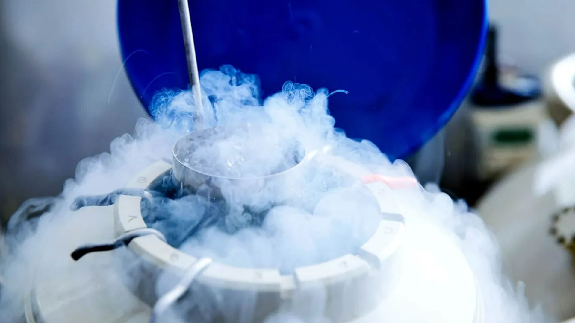 embryo freezing
