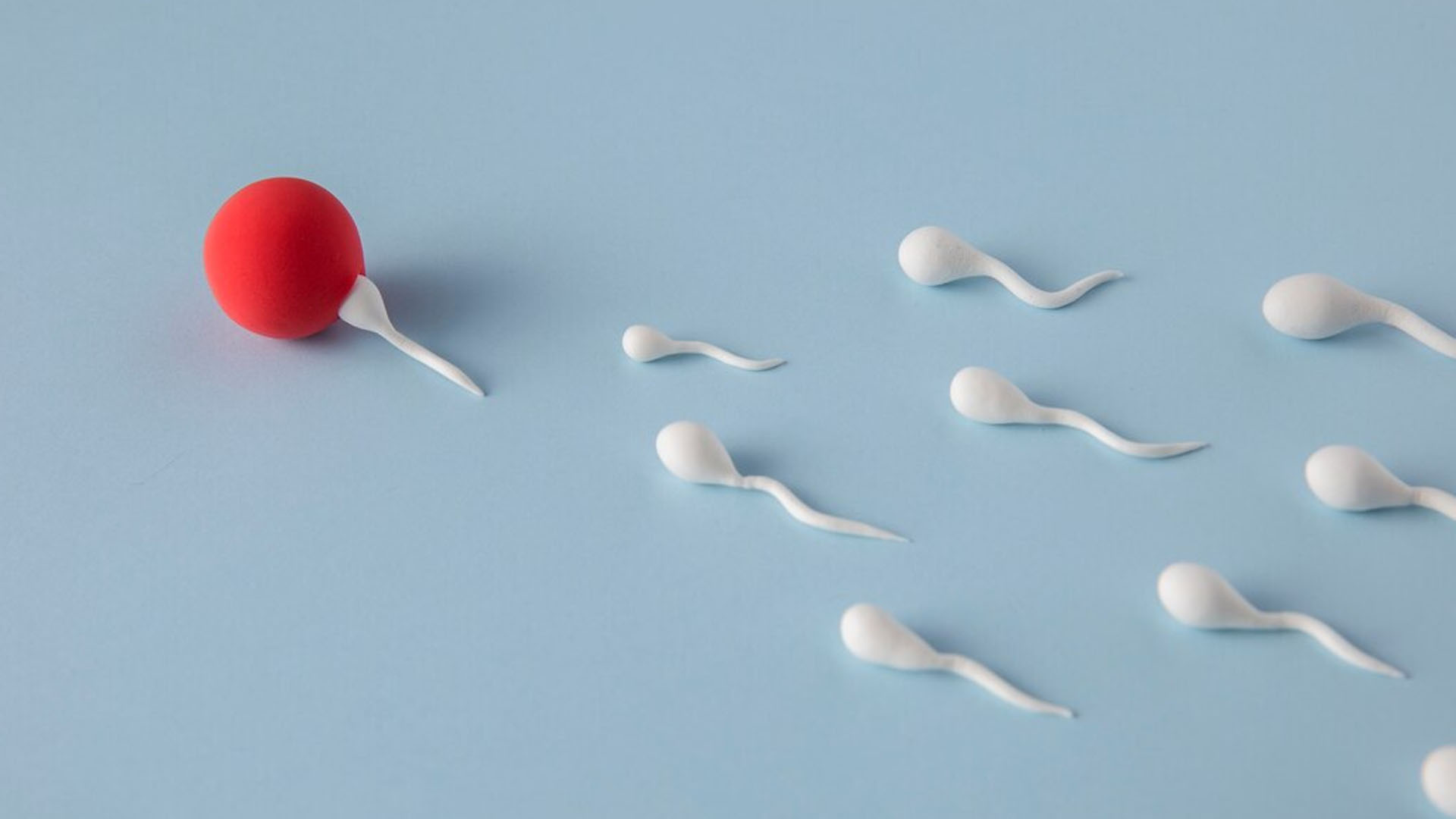 Male Infertility Solutions tesa (testicular sperm aspiration)